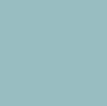 Eucaliptocolor