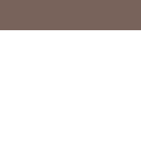 hazlenut piped border